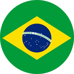 Iconebandeira